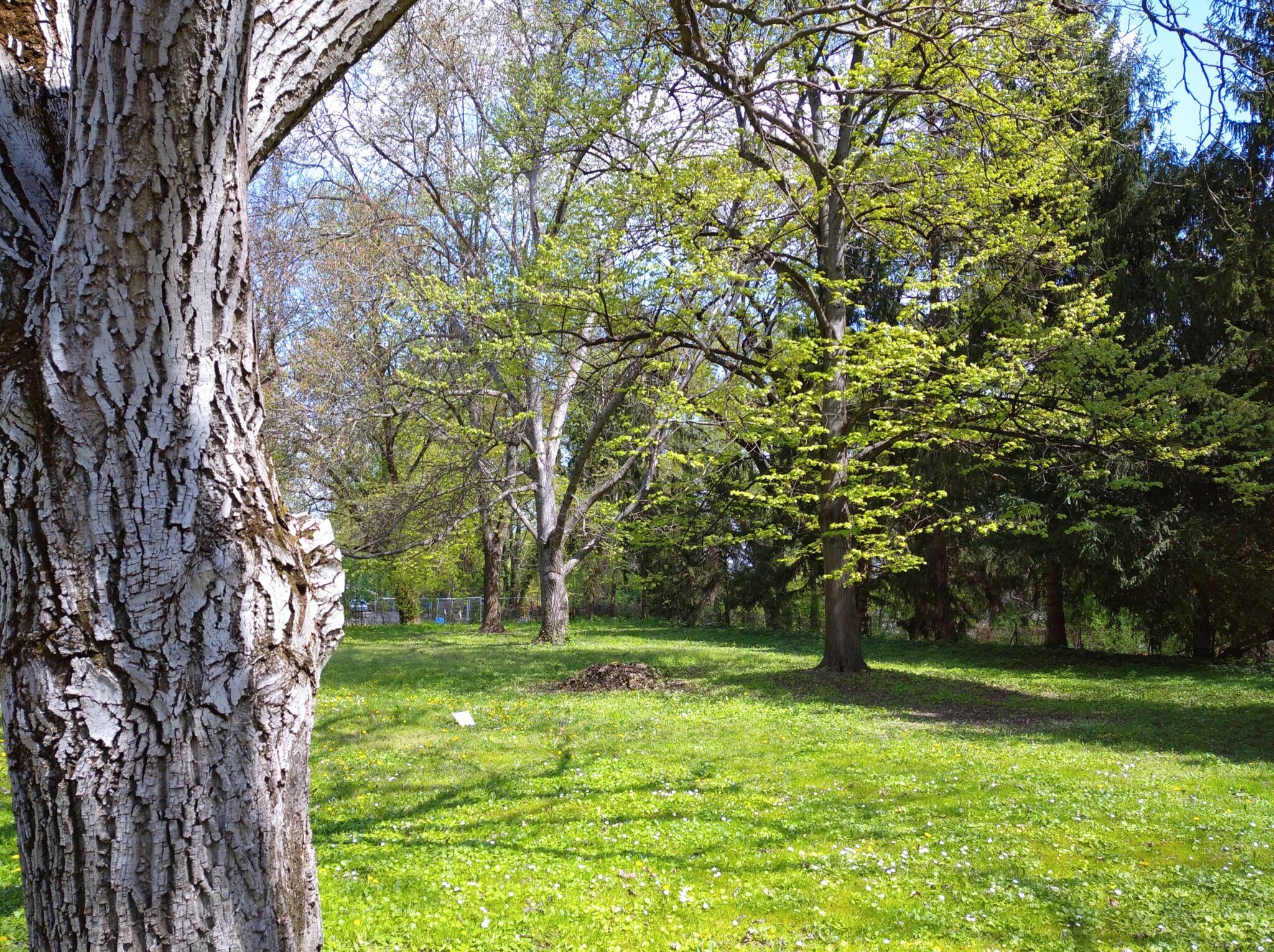 DunaPark Üdülőlakás – Leányfalu fotó 17