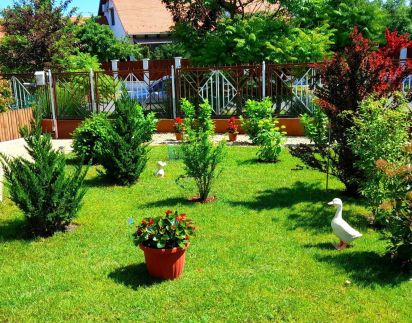 Zsóka Apartman12