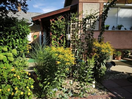 Zsóka Apartman – Hajdúszoboszló fotó 19