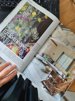 Moha és Páfrány Kabinház Dunakanyar25