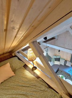 Moha és Páfrány Kabinház Dunakanyar26