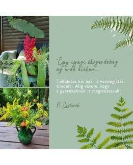 Moha és Páfrány Kabinház Dunakanyar30