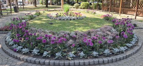 Dorottya Apartman – Siófok fotó 17
