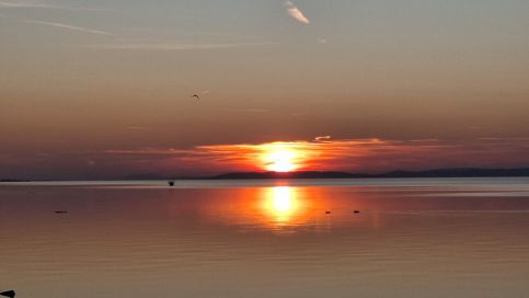 Dorottya Apartman – Siófok fotó 24
