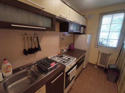 Zöld Dió Apartman1