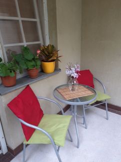 Zöld Dió Apartman2