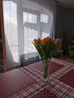 Tarkabarka Apartman61