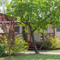 Aranypart Camping