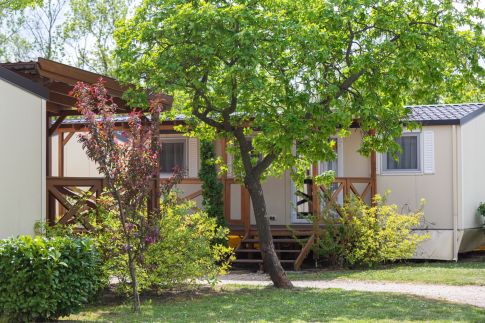 Aranypart Camping