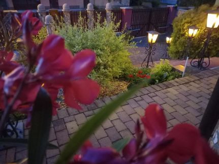 Aladdin Apartmanház11