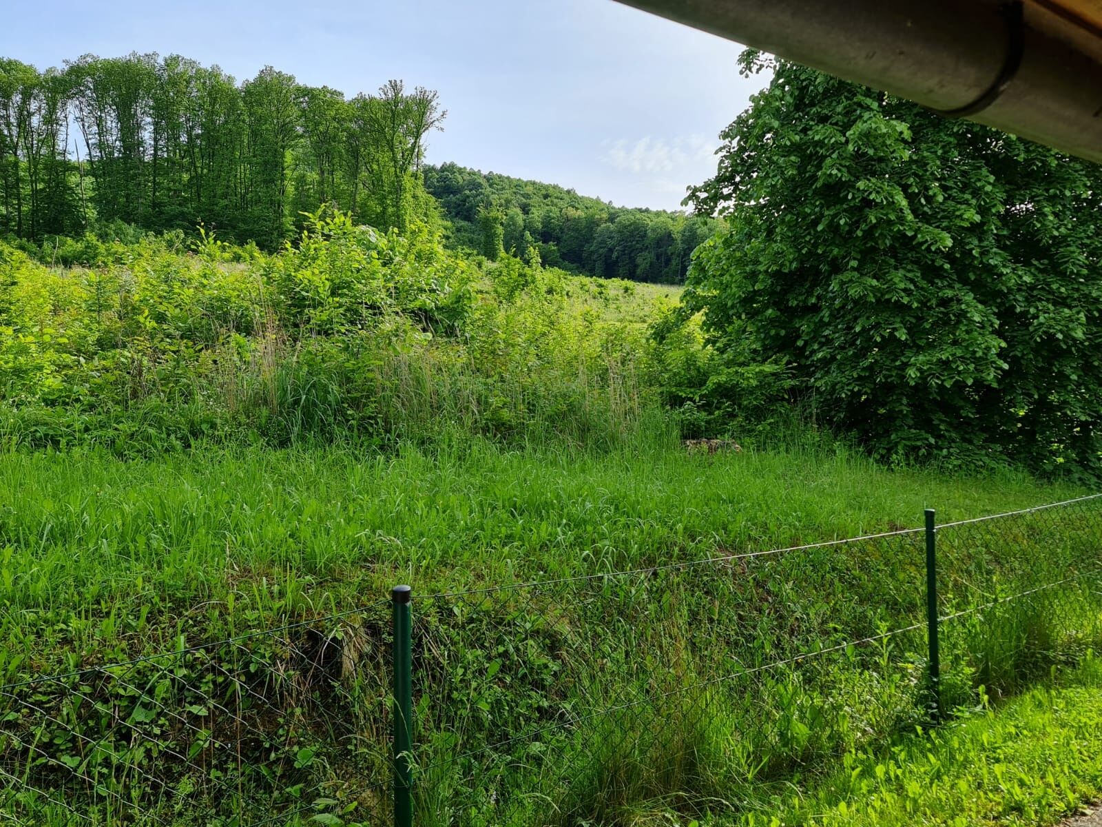 Erdőszéli Relax Vendégház – Magyarhertelend fotó 5