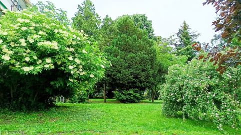 Horgony Apartman14