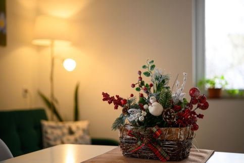 Nefelejcs Vendégház24