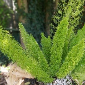 Akácfa Vendégház29