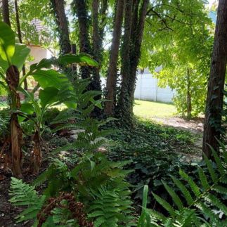 Akácfa Vendégház17