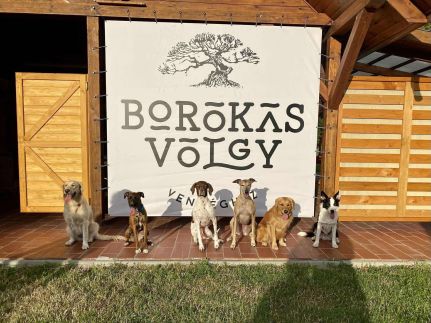 Borókásvölgy Vendégház28