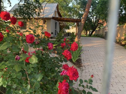 Apróka Relax Vendégház – Balatonlelle fotó 15