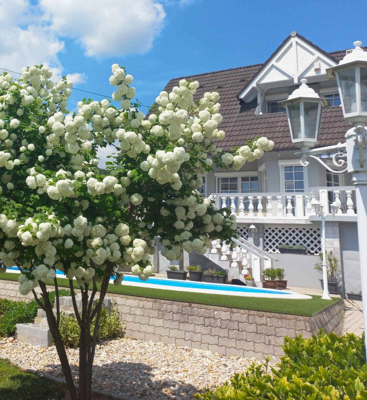 Babér Villa Máriagyűd – Siklós fotó 57