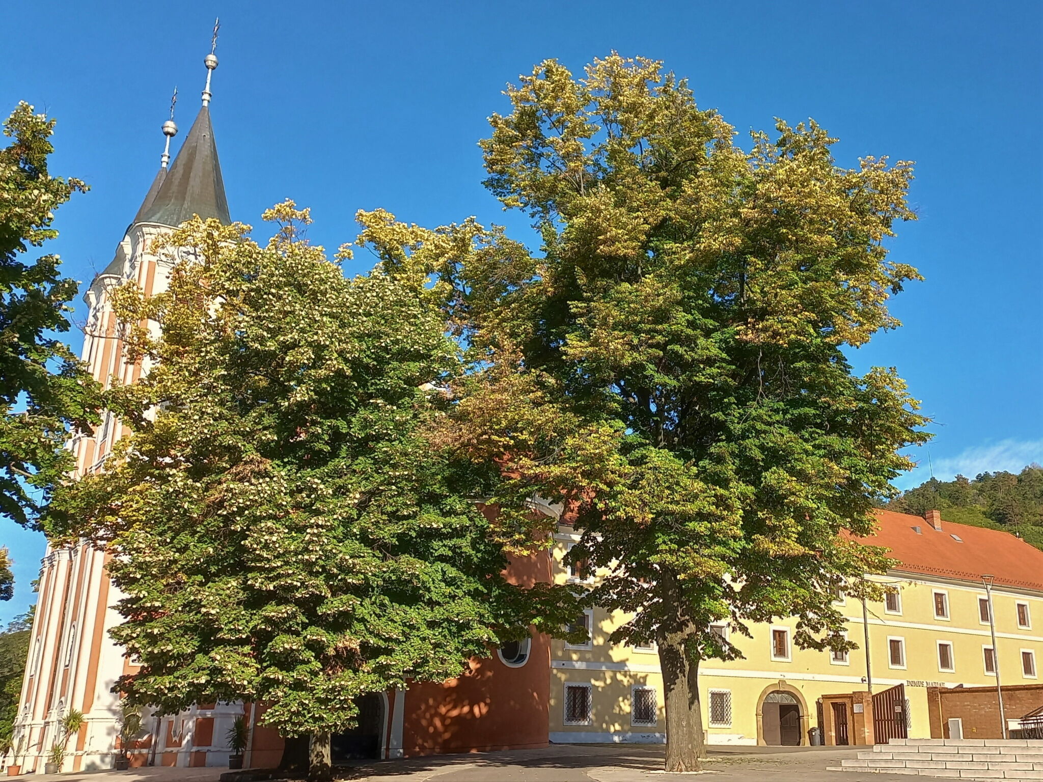 Babér Villa Máriagyűd – Siklós fotó 46