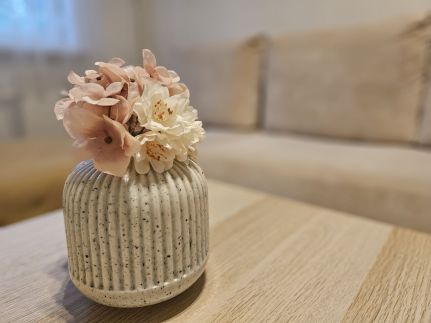 Borisz Apartman23
