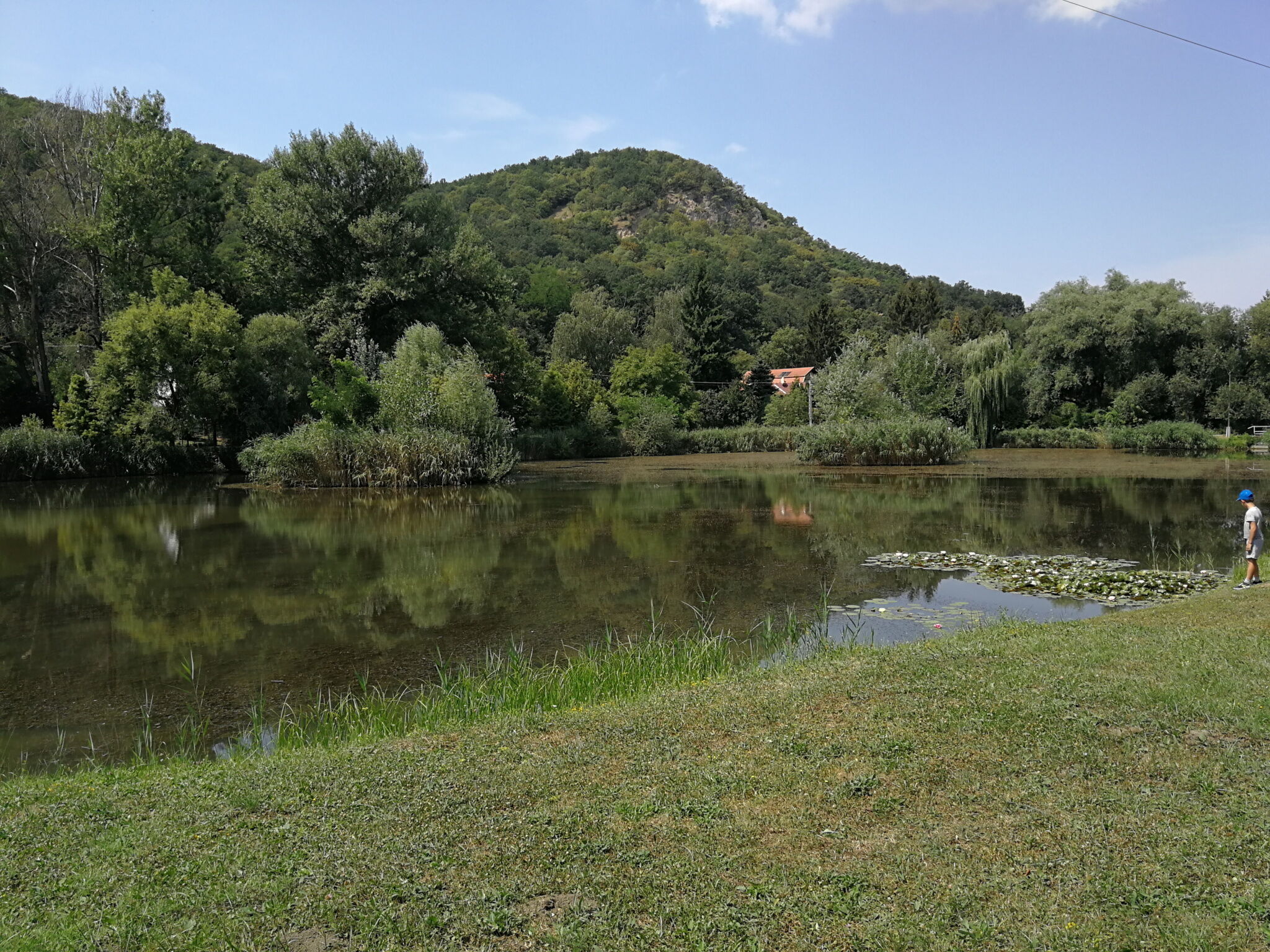 Kékház Apartman – Esztergom fotó 13