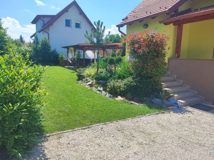 Éva Háza41