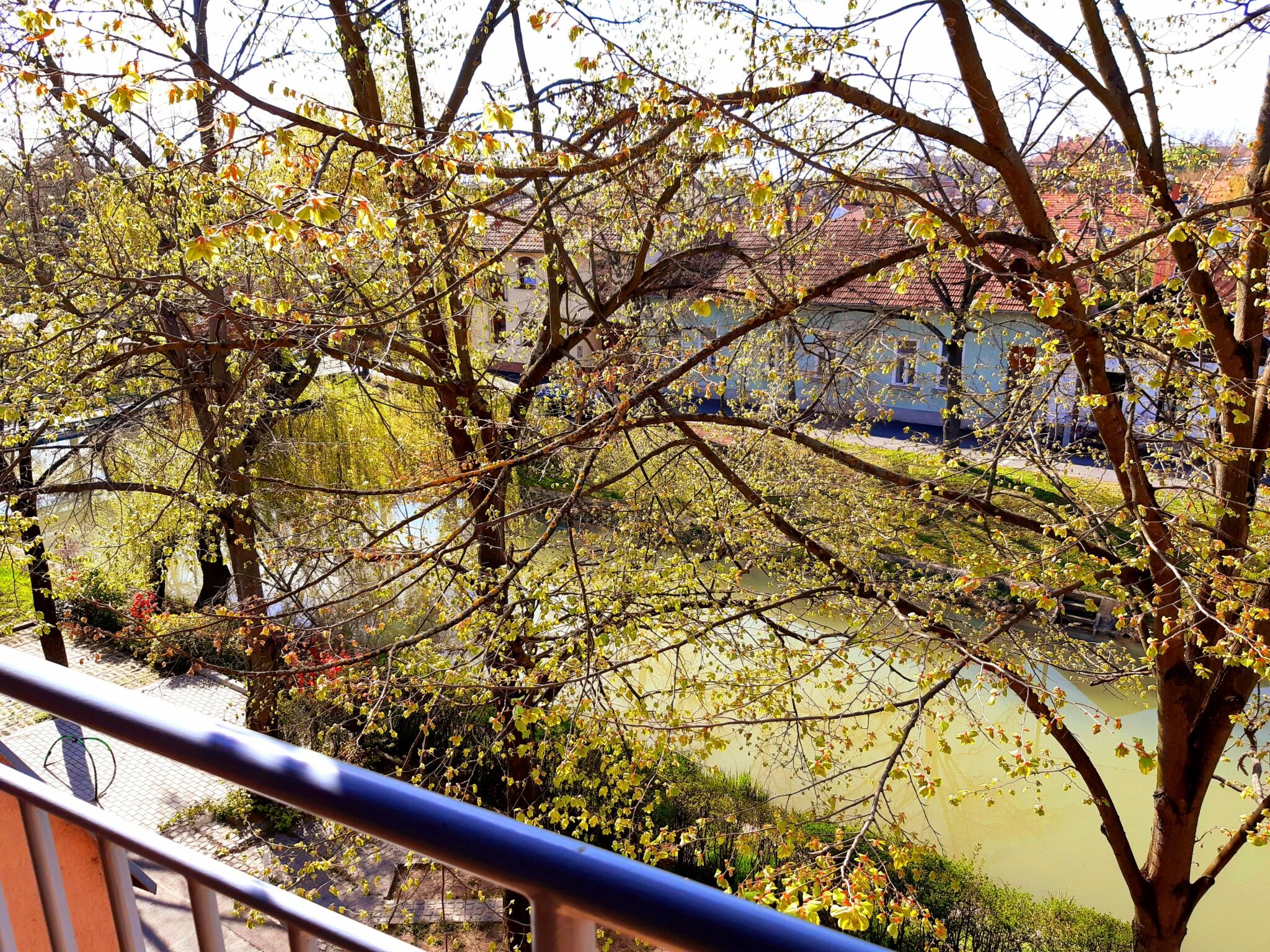 Belvárosi Tündér Apartman – Gyula fotó 11