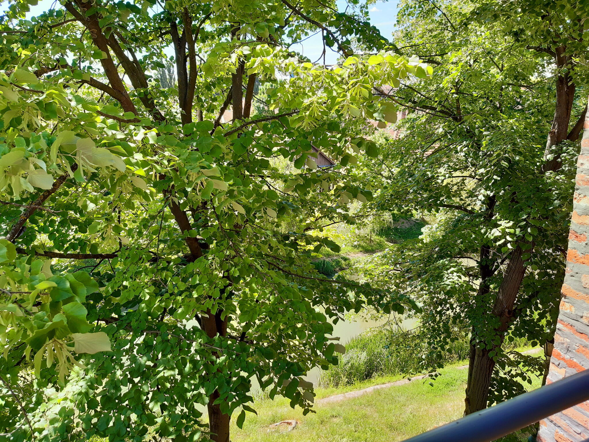 Belvárosi Tündér Apartman – Gyula fotó 12