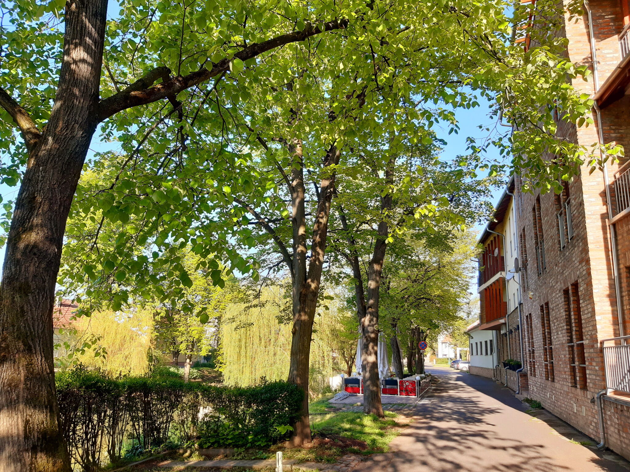 Belvárosi Tündér Apartman – Gyula fotó 5