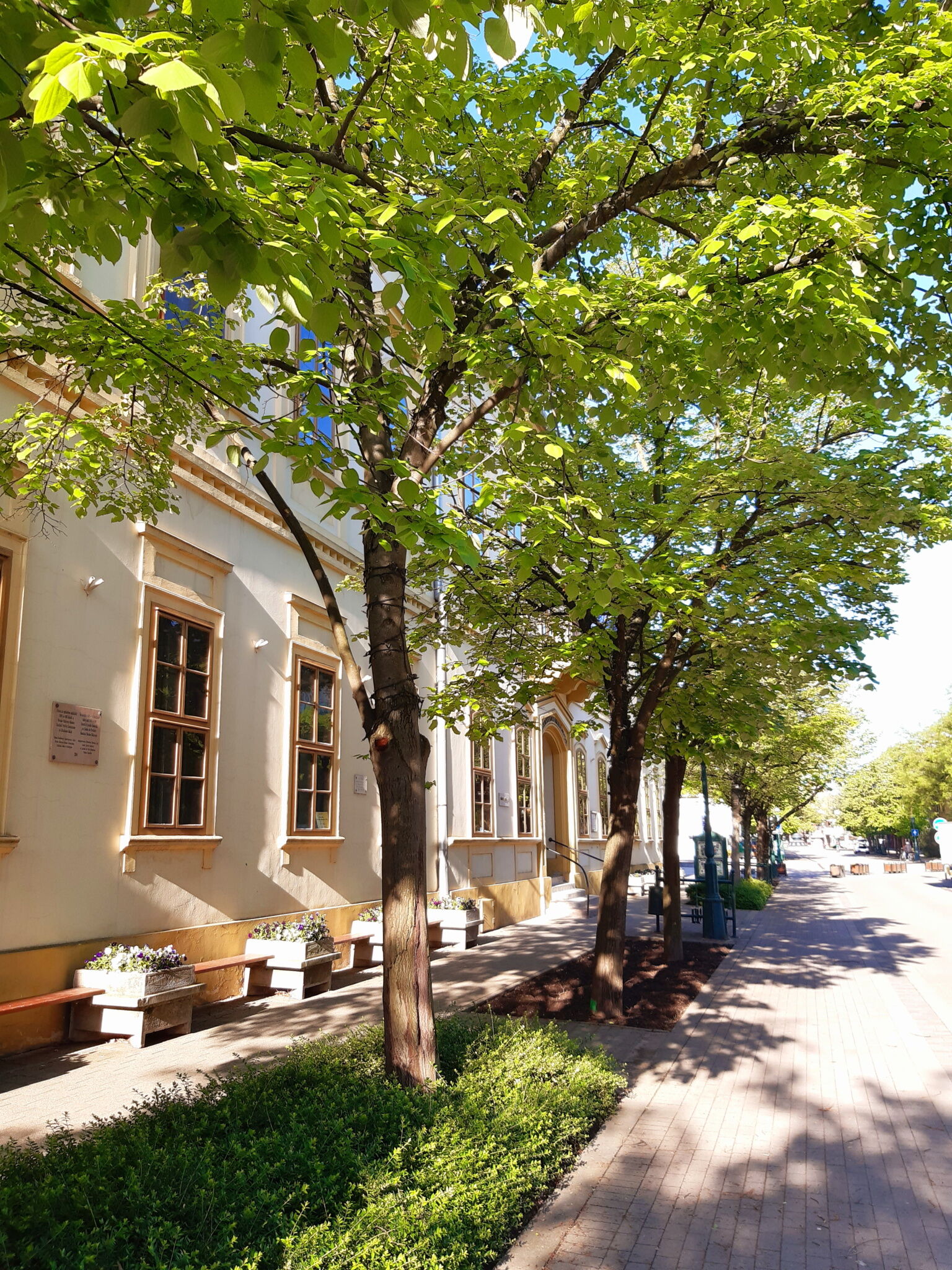 Belvárosi Tündér Apartman – Gyula fotó 6