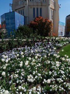 TomJohn Apartman27