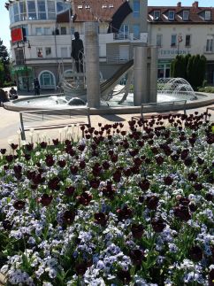 TomJohn Apartman28