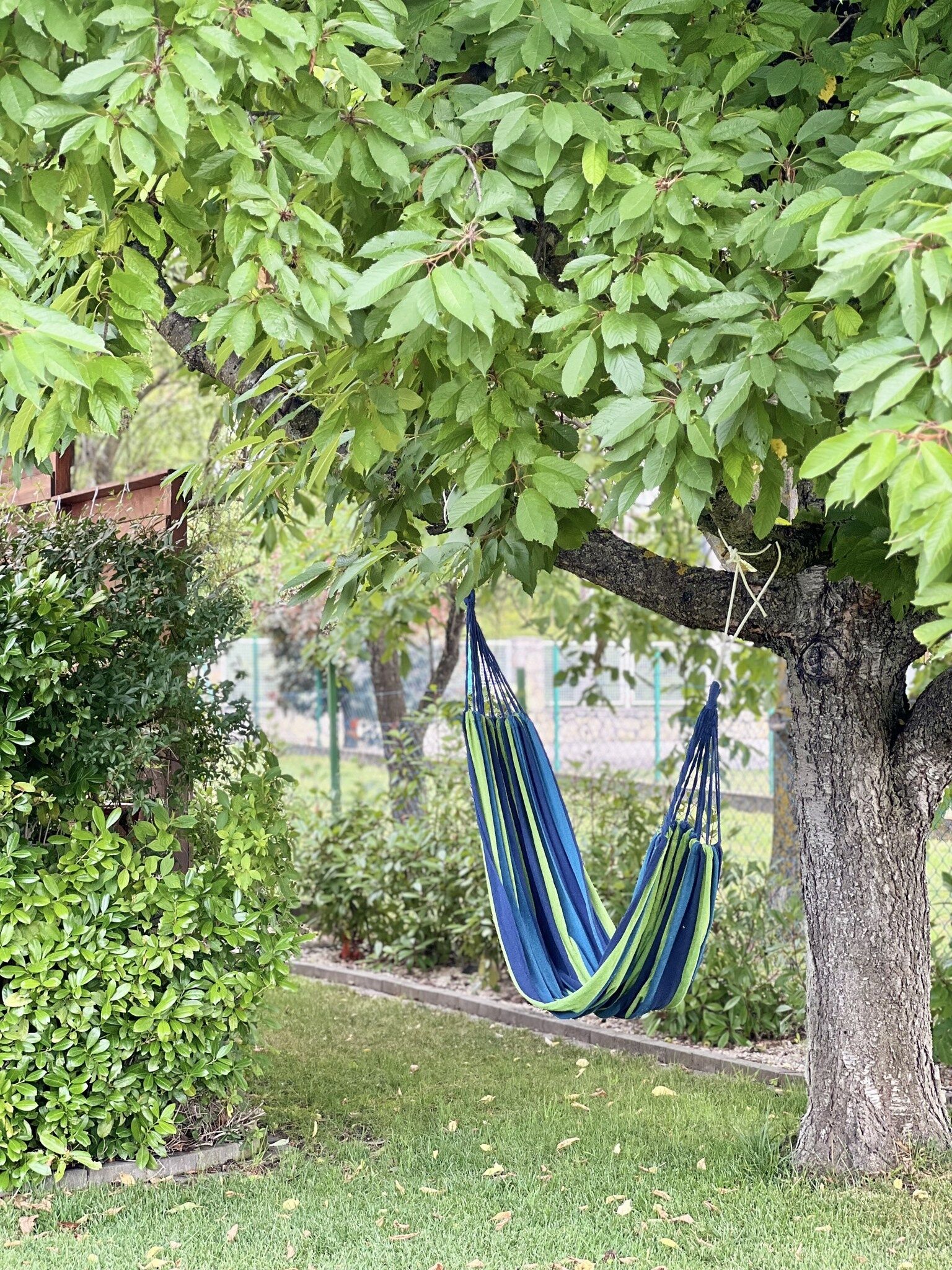 Tünde Nene Apartman – Zánka fotó 5