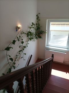 Park Apartman19