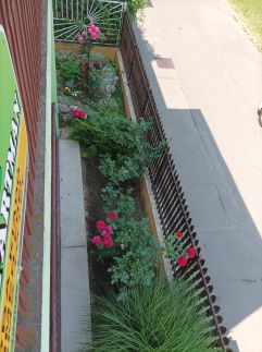 Park Apartman29