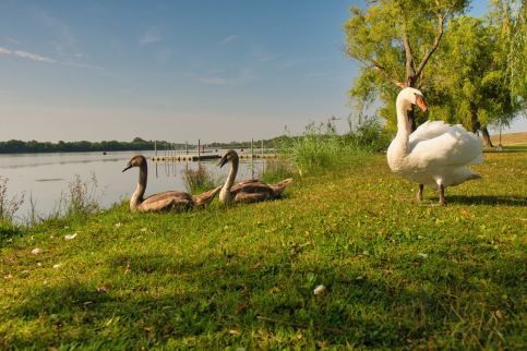 Tisza-tó Apartmanpark75