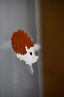 Manilla Vendégháza58