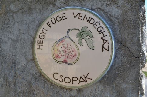 Hegyi Füge Vendégház