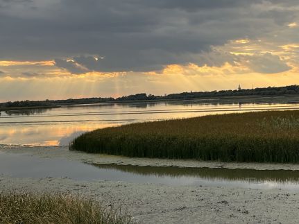 Tisza-Tavi Vendégház9