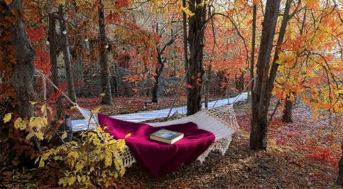 EgerCottages - Csillag35