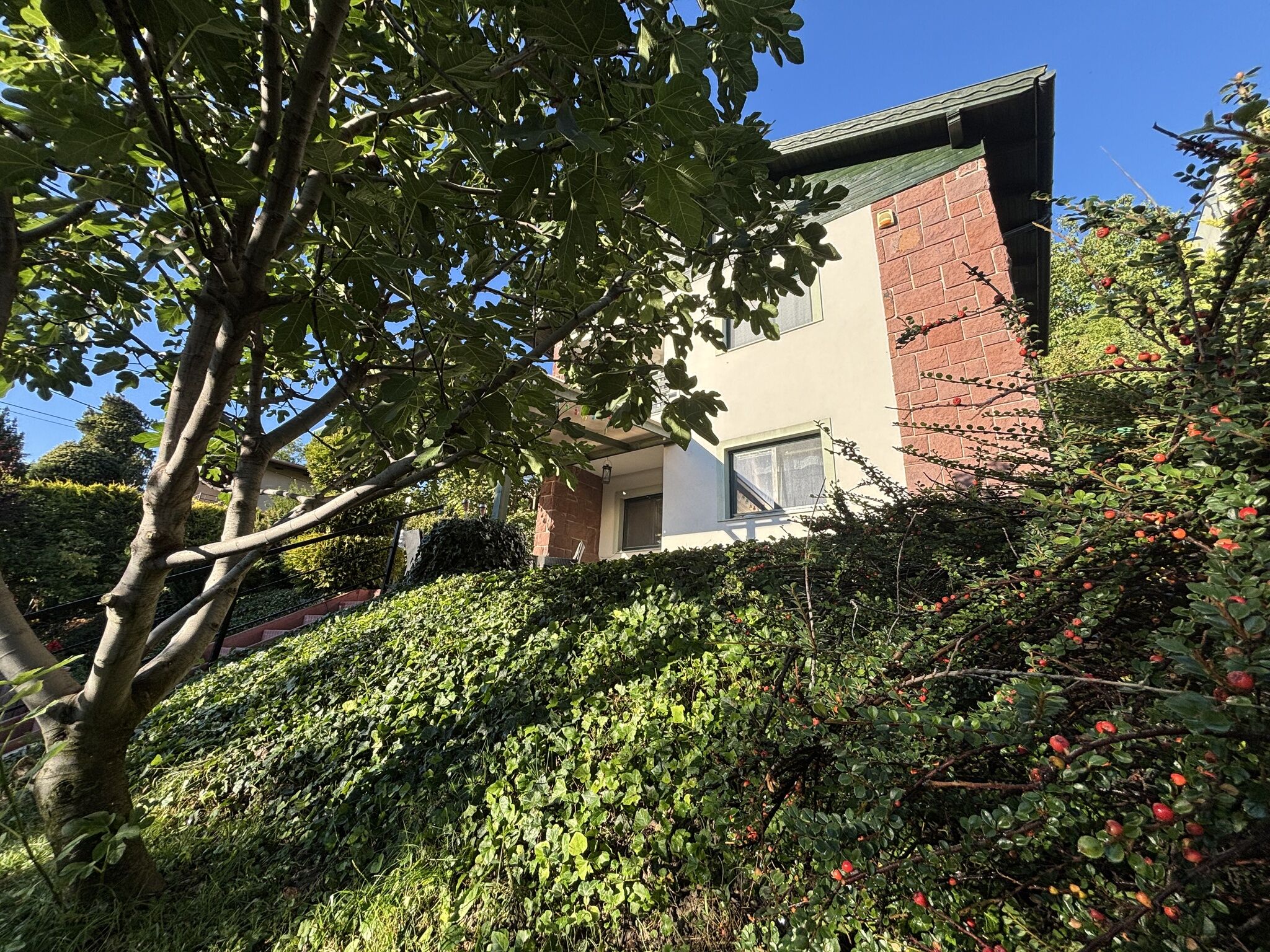 Villa ZöldFüge – Balatonfűzfő fotó 93