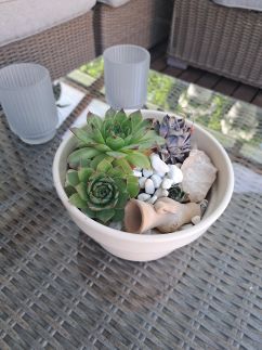 Aloha Apartman14