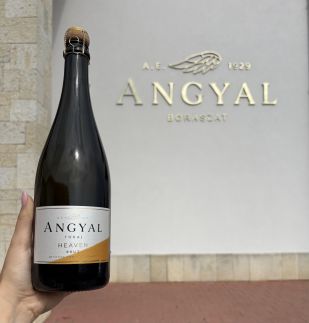 Angyal Villa28