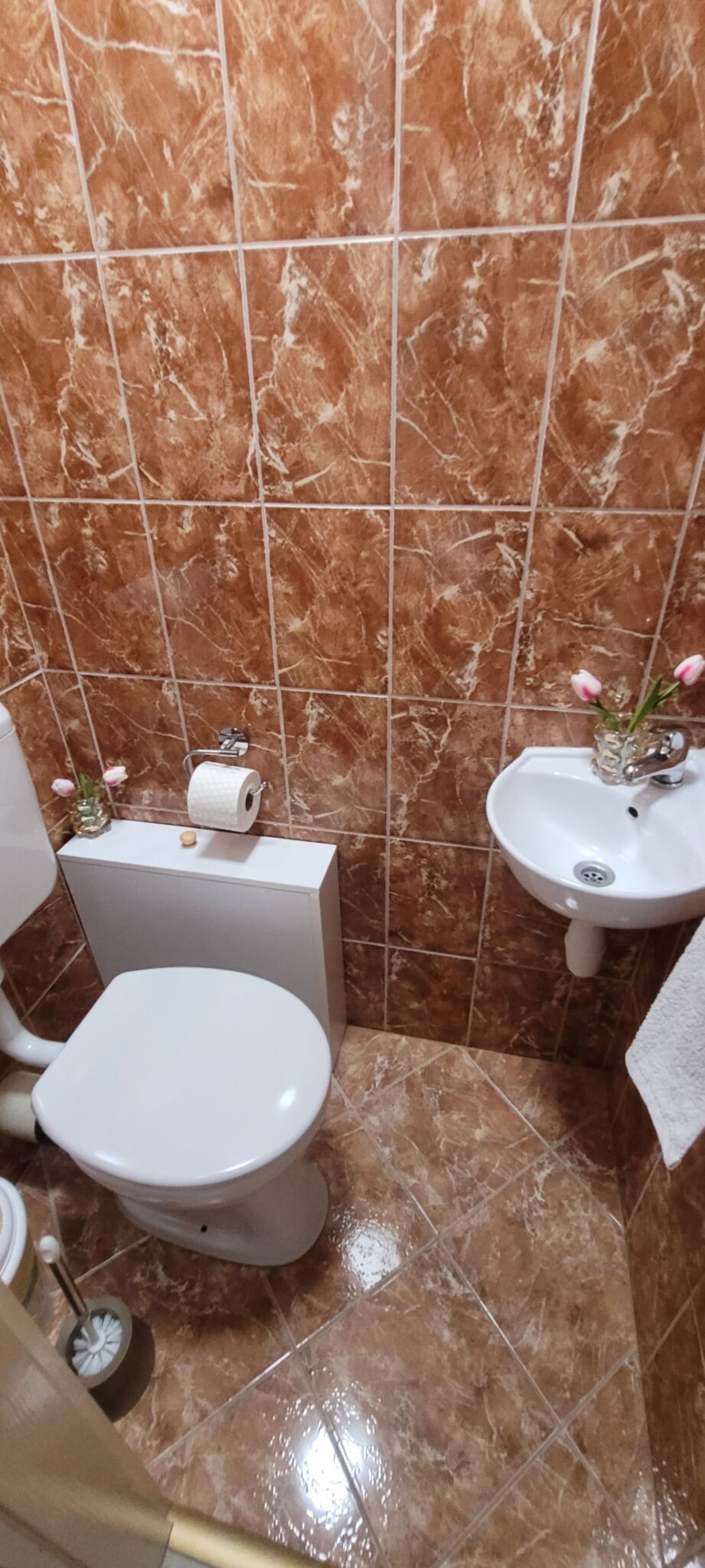Melcsi Apartman – Gyula fotó 38