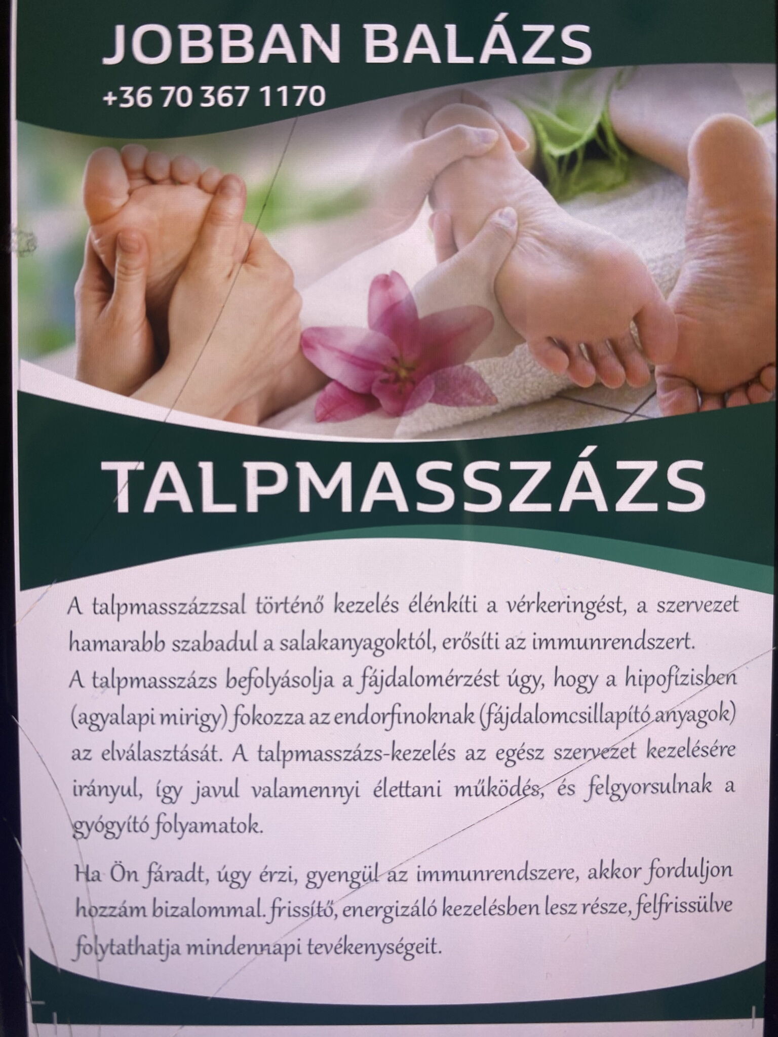 Napsugár Birtok – Csákberény fotó 18