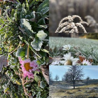 Csillagvirág Vendégház29