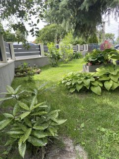 Hanne Nyaralóház31