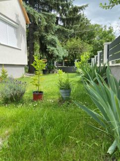 Hanne Nyaralóház32