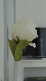 Villa Rose Garden Panzió71