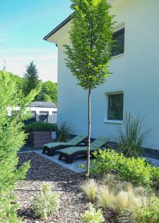Doreto Luxury16